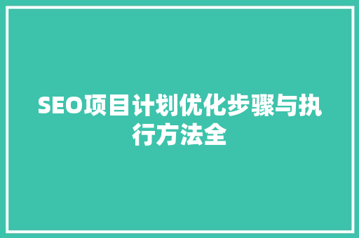 SEO项目计划优化步骤与执行方法全 搜狗SEO