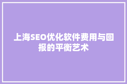 上海SEO优化软件费用与回报的平衡艺术