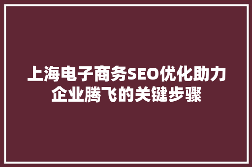 上海电子商务SEO优化助力企业腾飞的关键步骤 必应SEO