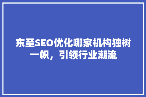 东至SEO优化哪家机构独树一帜，引领行业潮流