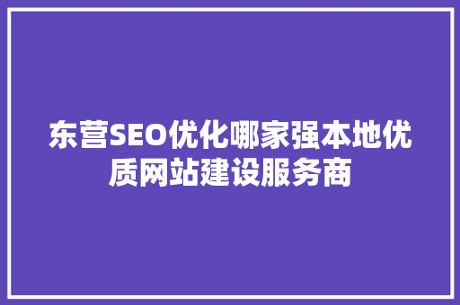 东营SEO优化哪家强本地优质网站建设服务商 神马SEO
