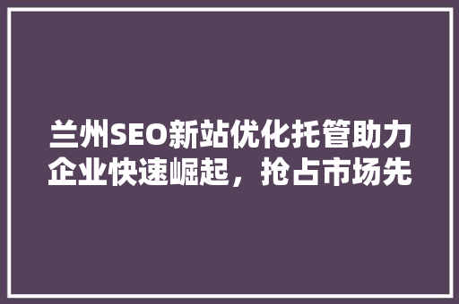兰州SEO新站优化托管助力企业快速崛起，抢占市场先机