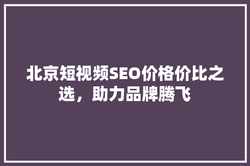北京短视频SEO价格价比之选，助力品牌腾飞 必应SEO