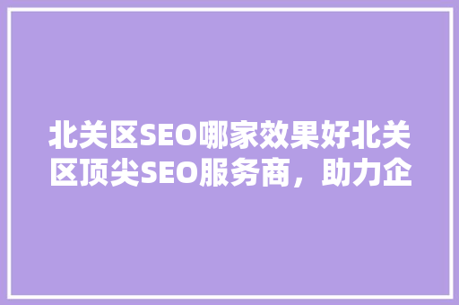 北关区SEO哪家效果好北关区顶尖SEO服务商，助力企业高效提升网站排名