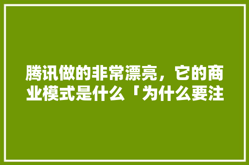 腾讯做的非常漂亮，它的商业模式是什么「为什么要注重用户体验呢」 腾讯做的非常漂亮，它的商业模式是什么「为什么要注重用户体验呢」 百度SEO