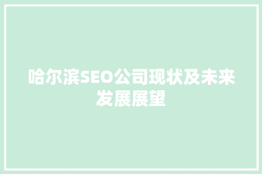 哈尔滨SEO公司现状及未来发展展望 必应SEO