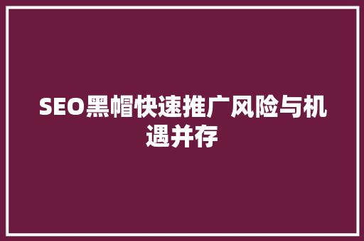 SEO黑帽快速推广风险与机遇并存 神马SEO