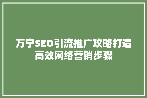 万宁SEO引流推广攻略打造高效网络营销步骤 神马SEO