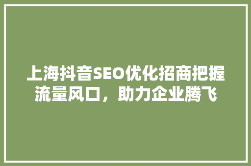 上海抖音SEO优化招商把握流量风口，助力企业腾飞 神马SEO