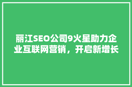 丽江SEO公司9火星助力企业互联网营销，开启新增长之路 神马SEO