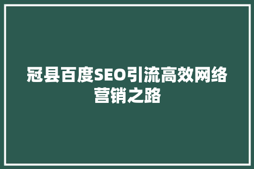 冠县百度SEO引流高效网络营销之路 GoogleSEO