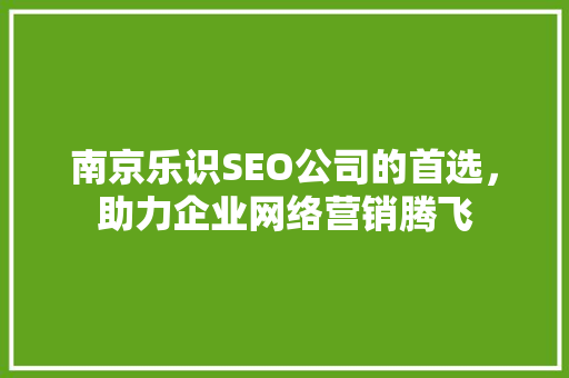 南京乐识SEO公司的首选，助力企业网络营销腾飞 搜狗SEO