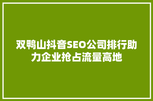 双鸭山抖音SEO公司排行助力企业抢占流量高地 百度SEO