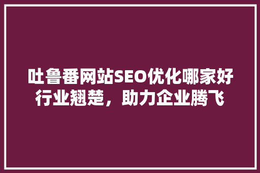 吐鲁番网站SEO优化哪家好行业翘楚，助力企业腾飞 GoogleSEO