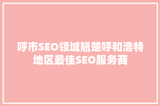 呼市SEO领域翘楚呼和浩特地区最佳SEO服务商 必应SEO