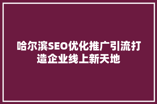哈尔滨SEO优化推广引流打造企业线上新天地 搜狗SEO