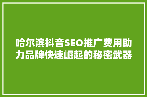 哈尔滨抖音SEO推广费用助力品牌快速崛起的秘密武器 GoogleSEO