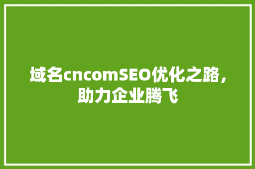 域名cncomSEO优化之路，助力企业腾飞 GoogleSEO