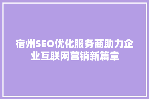 宿州SEO优化服务商助力企业互联网营销新篇章