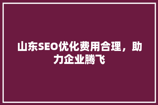 山东SEO优化费用合理，助力企业腾飞 搜狗SEO