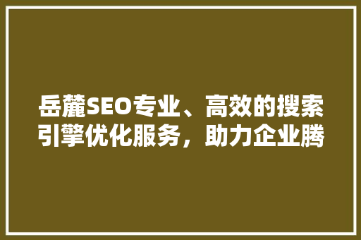 岳麓SEO专业、高效的搜索引擎优化服务，助力企业腾飞 百度SEO
