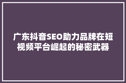 广东抖音SEO助力品牌在短视频平台崛起的秘密武器 GoogleSEO