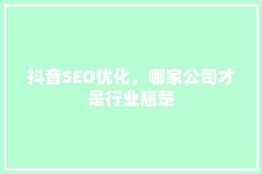 抖音SEO优化，哪家公司才是行业翘楚