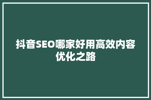 抖音SEO哪家好用高效内容优化之路