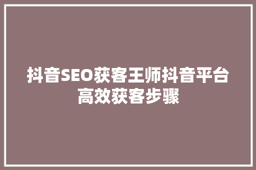 抖音SEO获客王师抖音平台高效获客步骤 GoogleSEO
