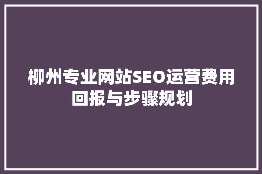 柳州专业网站SEO运营费用回报与步骤规划 搜狗SEO