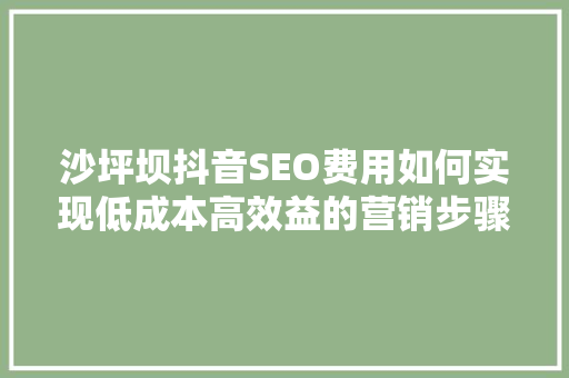 沙坪坝抖音SEO费用如何实现低成本高效益的营销步骤 搜狗SEO