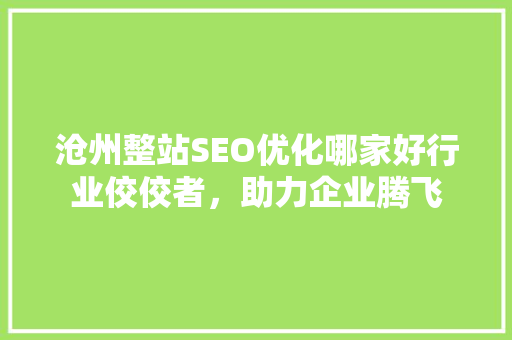 沧州整站SEO优化哪家好行业佼佼者，助力企业腾飞 必应SEO