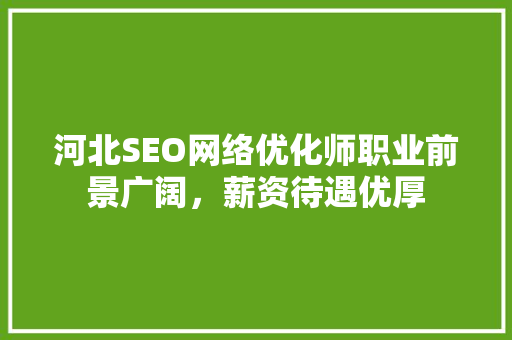 河北SEO网络优化师职业前景广阔，薪资待遇优厚 必应SEO