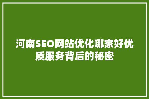 河南SEO网站优化哪家好优质服务背后的秘密