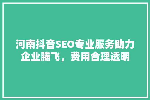 河南抖音SEO专业服务助力企业腾飞，费用合理透明 必应SEO