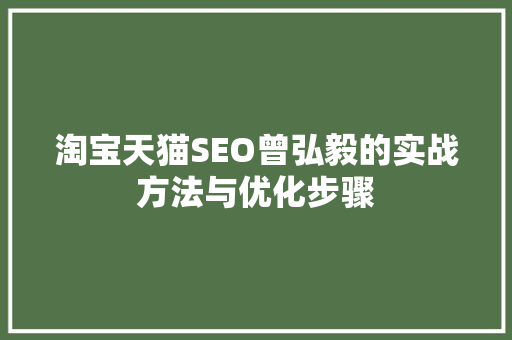 淘宝天猫SEO曾弘毅的实战方法与优化步骤 必应SEO