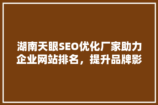 湖南天眼SEO优化厂家助力企业网站排名，提升品牌影响力 百度SEO