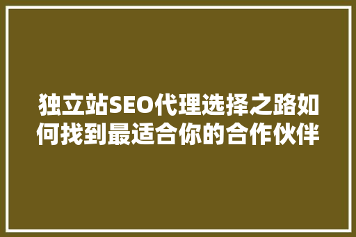 独立站SEO代理选择之路如何找到最适合你的合作伙伴 必应SEO