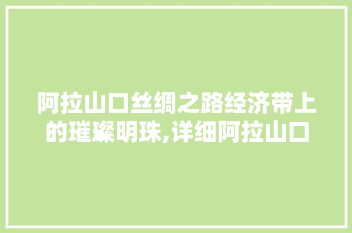 阿拉山口丝绸之路经济带上的璀璨明珠,详细阿拉山口网站SEO优化步骤 搜狗SEO
