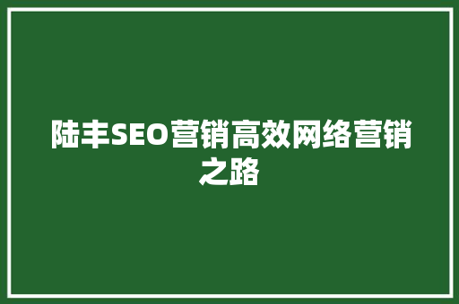陆丰SEO营销高效网络营销之路