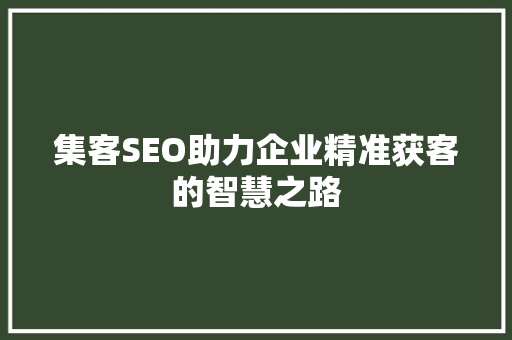 集客SEO助力企业精准获客的智慧之路 必应SEO