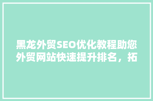 黑龙外贸SEO优化教程助您外贸网站快速提升排名，拓展国际市场 GoogleSEO