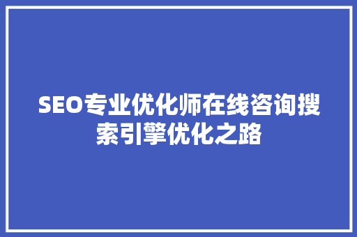 SEO专业优化师在线咨询搜索引擎优化之路 必应SEO