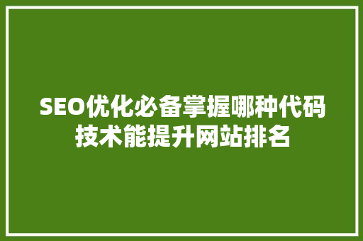 SEO优化必备掌握哪种代码技术能提升网站排名 必应SEO