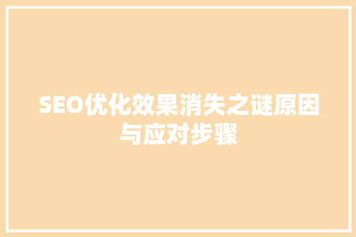 SEO优化效果消失之谜原因与应对步骤