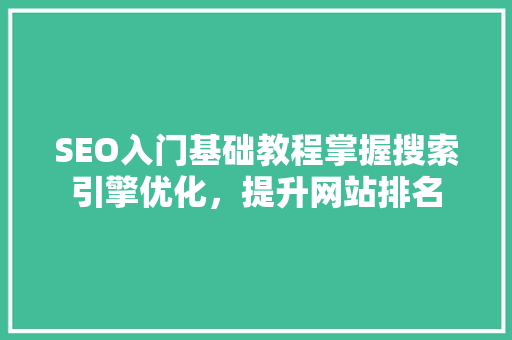 SEO入门基础教程掌握搜索引擎优化，提升网站排名