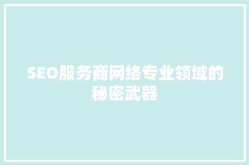 SEO服务商网络专业领域的秘密武器 必应SEO