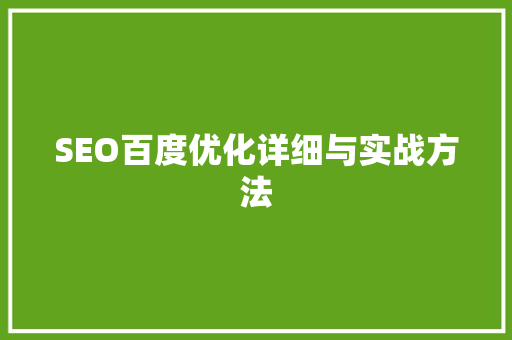SEO百度优化详细与实战方法 GoogleSEO