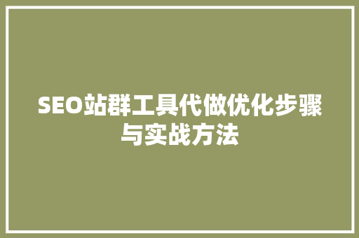 SEO站群工具代做优化步骤与实战方法 百度SEO
