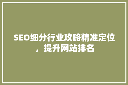 SEO细分行业攻略精准定位，提升网站排名 百度SEO